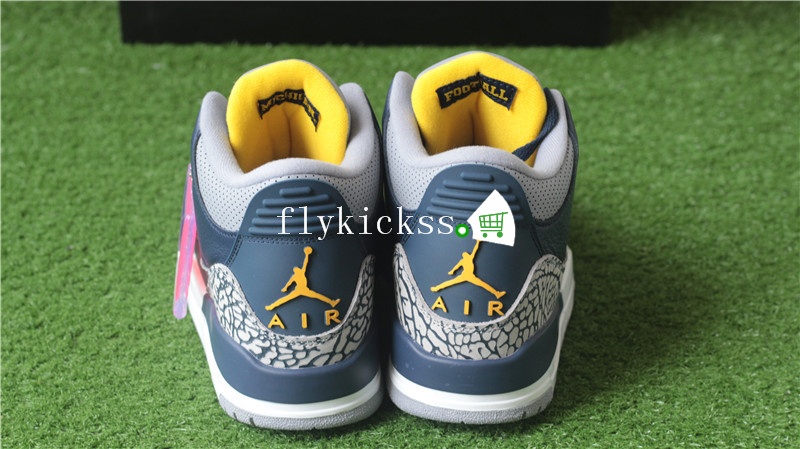 Authentic Air Jordan 3 Retro MICHIGAN PE